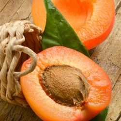 Apricot Flavor - PA