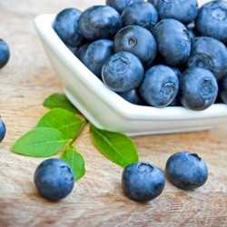 Blueberry Flavor (Extra) - ΤPA