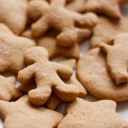 Gingerbread Cookie - TPA