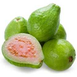 Guava Flavor - TPA