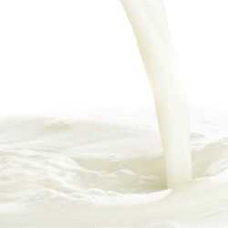 Malted Milk (Conc) - TPA