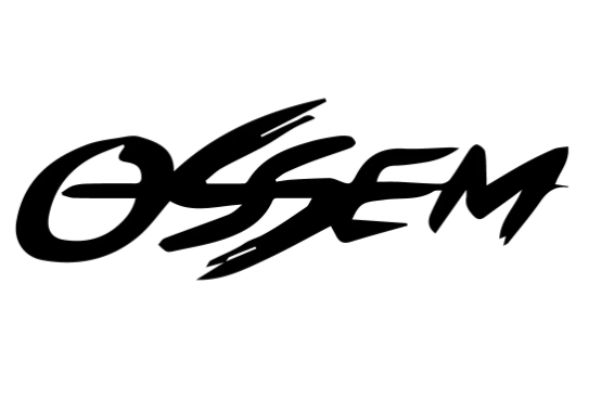Ossem