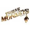 12 Monkeys